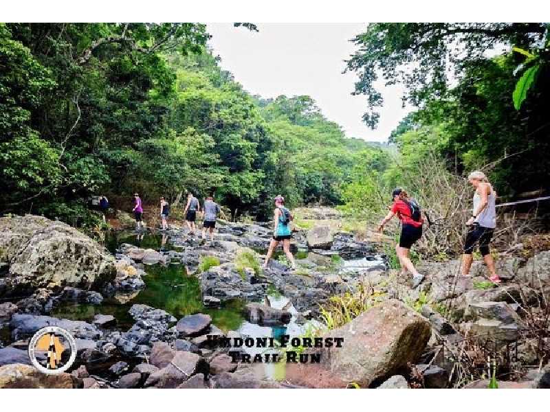 Umdoni Forest Trail Run